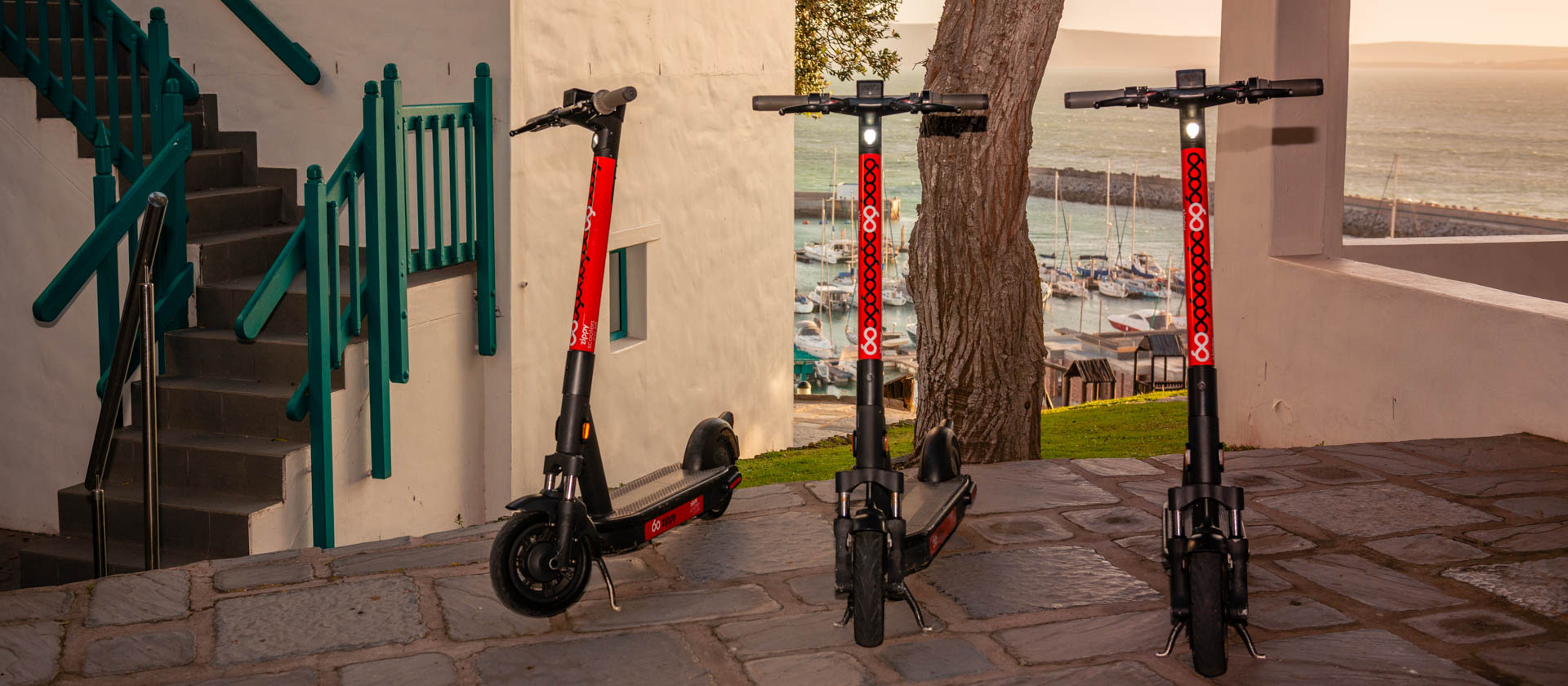 Friends at restaurant with Zippy scooters