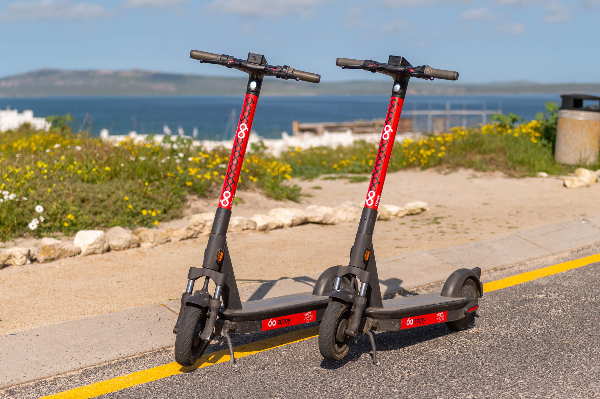 Group of friends riding Zippy scooters